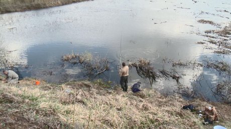Только с берега: в Пензенской области ввели ограничения для рыбаков