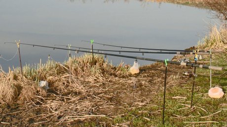 Только с берега: в Пензенской области ввели ограничения для рыбаков