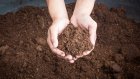 «Дамате» и «Биоорганика» запустили завод органических удобрений