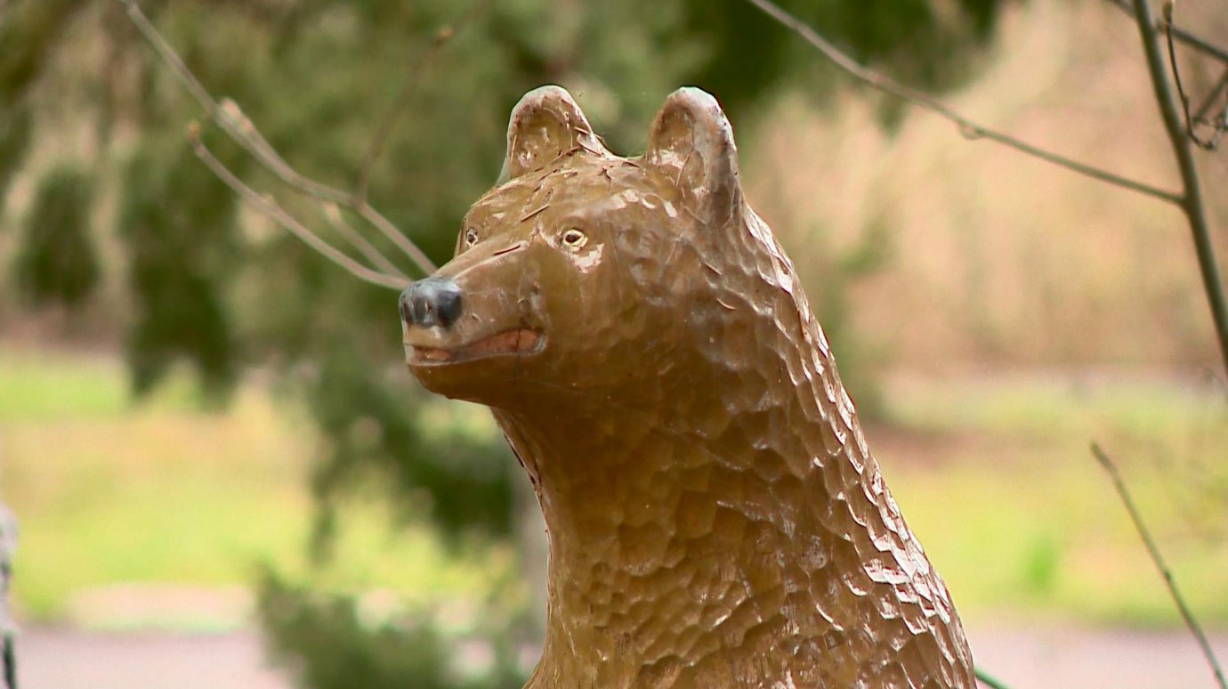 За медведем в Пензенской области установят наблюдение