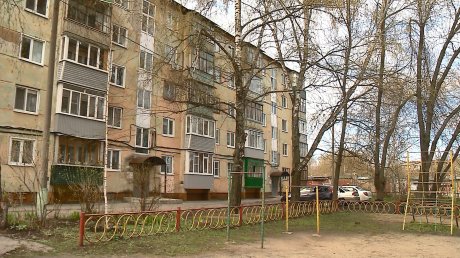 Пензячка сообщила об угрожающих деревьях на ул. Вяземского