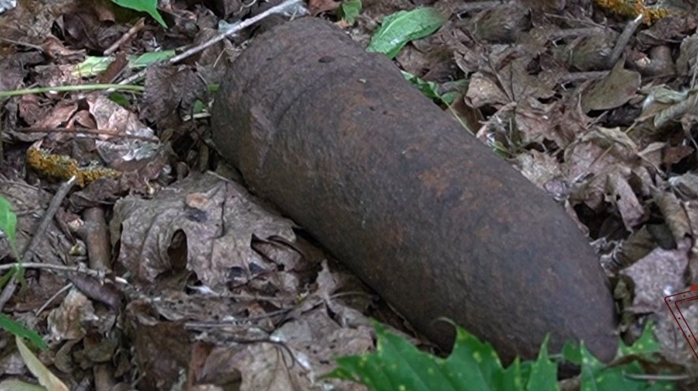 Житель Пензенской области нашел в лесу корпус артиллерийского снаряда