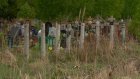 Из-за майских праздников кучи мусора на Восточном кладбище растут быстрее
