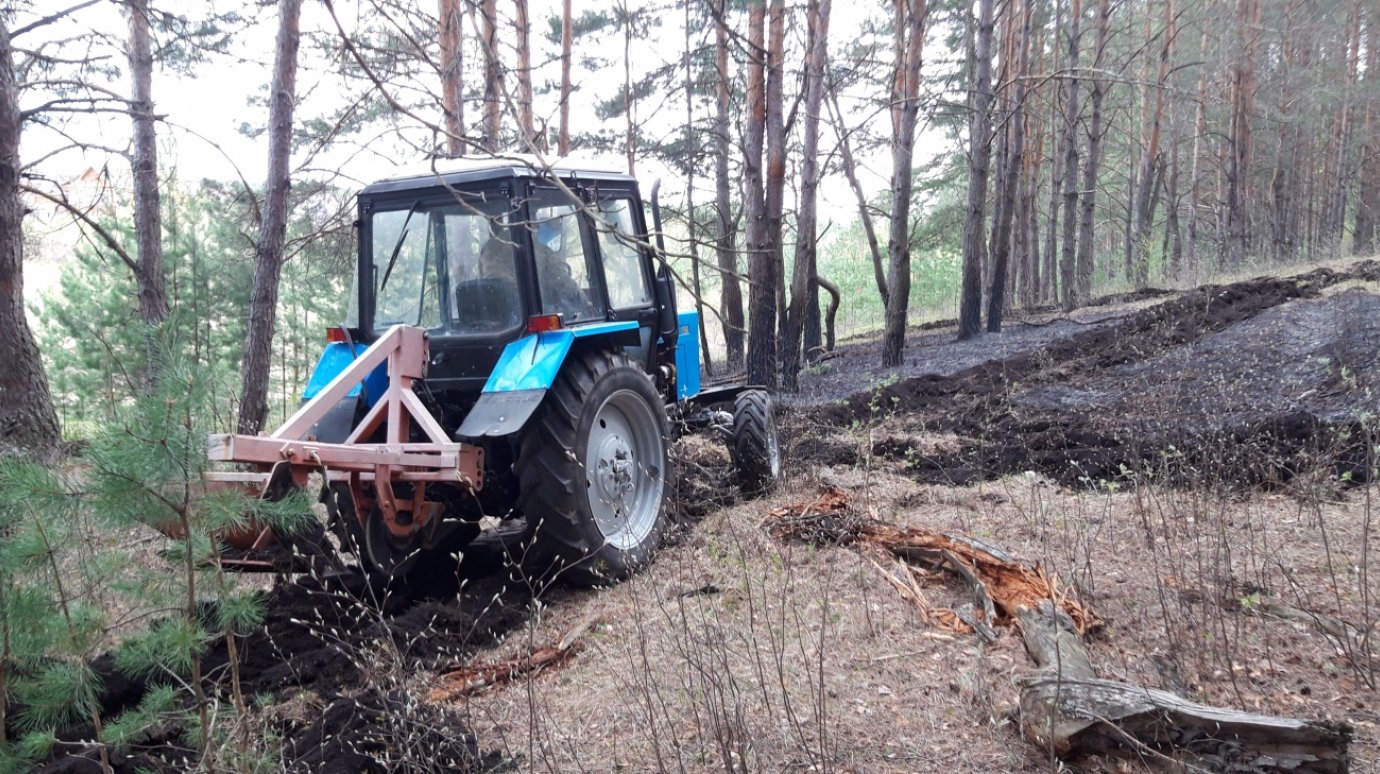 В Пензенской области зафиксированы первые лесные пожары
