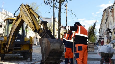 На Московской сухие и аварийные липы заменят на новые