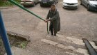 Разрушенное крыльцо подъезда на Российской стало проблемой жильцов