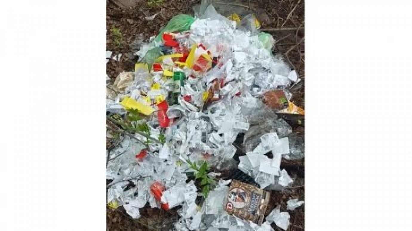 ЦУР прокомментировал конфликт из-за мусора на Ульяновской