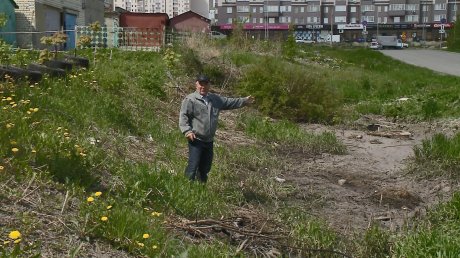 Пензенец сообщил об экологической катастрофе на улице Лядова