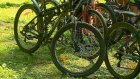Активные пензенцы отметили Всемирный день велосипеда