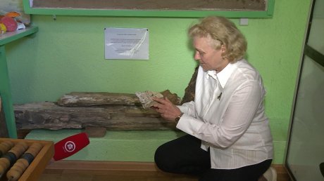 В Пензе открыли музей леса с возрожденной экспозицией
