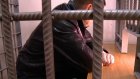 В Пензе задержана организованная группа мошенников