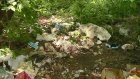 Территория у «Глобуса» в центре Пензы покрылась ковром из мусора