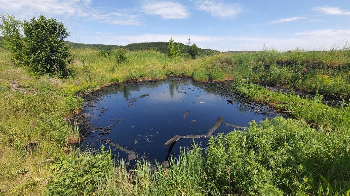 В Кузнецком районе обнаружили место разлива нефтепродуктов