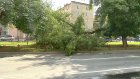 На дорогу на улице Пушкина рухнули огромная ветвь и провод