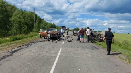 В Мокшанском районе ДТП унесло жизнь водителя иномарки