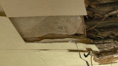 Пензенская семья живет в квартире со сгнившим потолком