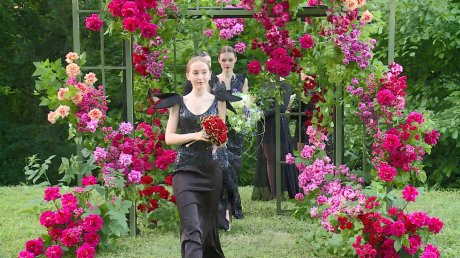 В Пензе устроили конкурс флористов в рамках фестиваля Flower boom
