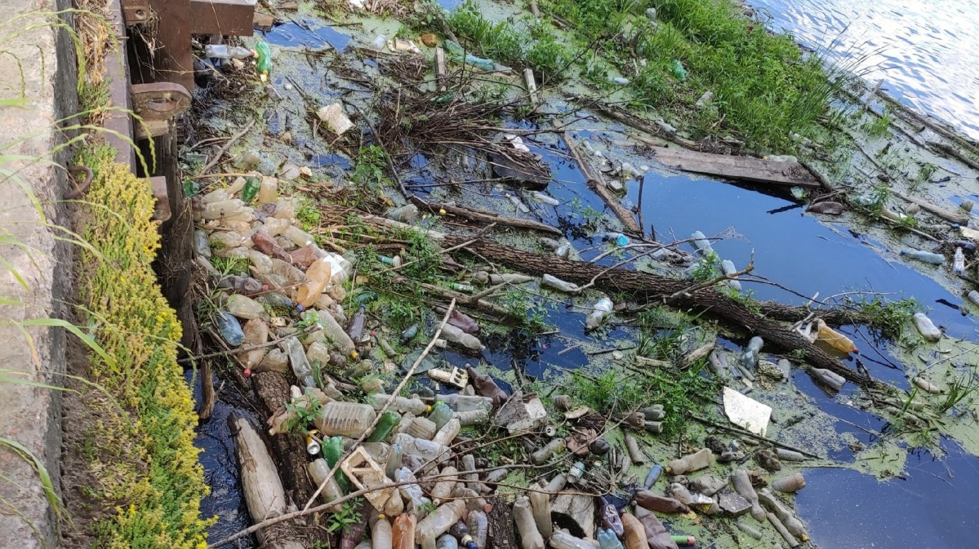 В Бессоновском районе в Суре образовались мусорные острова