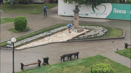 Полиция ищет мужчину, испортившего памятник Денису Давыдову