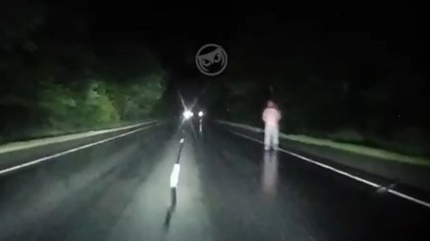 Водитель из Пензы едва не сбил пешехода на ночной трассе