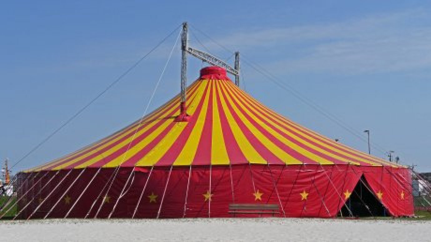 Клоун Владимир Дерябкин: Наше сообщество ждет открытия цирка в Пензе
