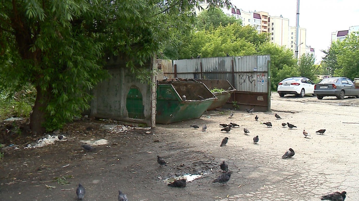 На Коммунистической площадка для мусора приучает к жизни в грязи