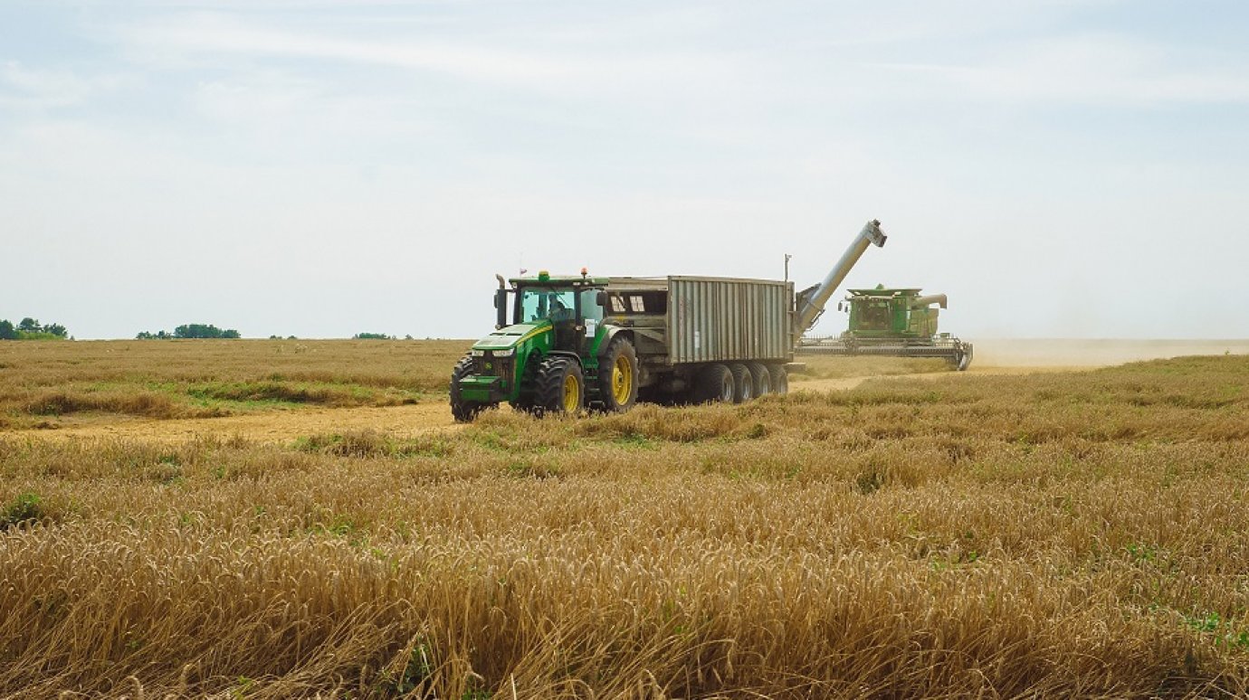В Пензенской области компания «Русмолко» начала уборку зерновых