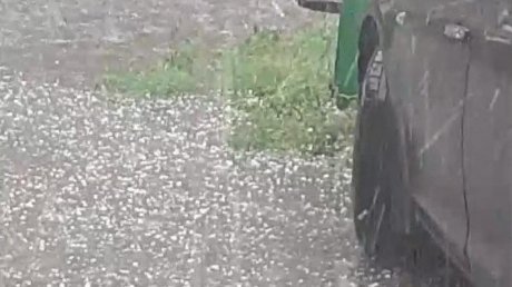 Дождь в Пензе проверил деревья и транспорт на прочность