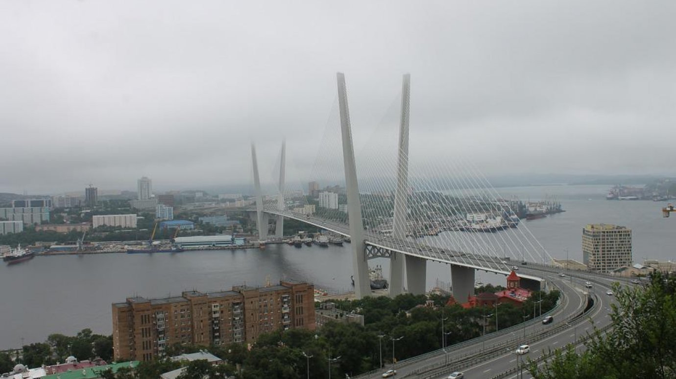 Машины в Россию начали массово ввозить через Владивосток