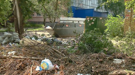 В Пензе привели в порядок мусорную площадку на улице Калинина