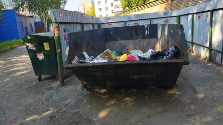В Пензе привели в порядок мусорную площадку на улице Калинина