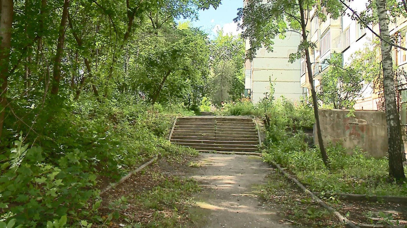 Лестница на улице Кижеватова заросла травой