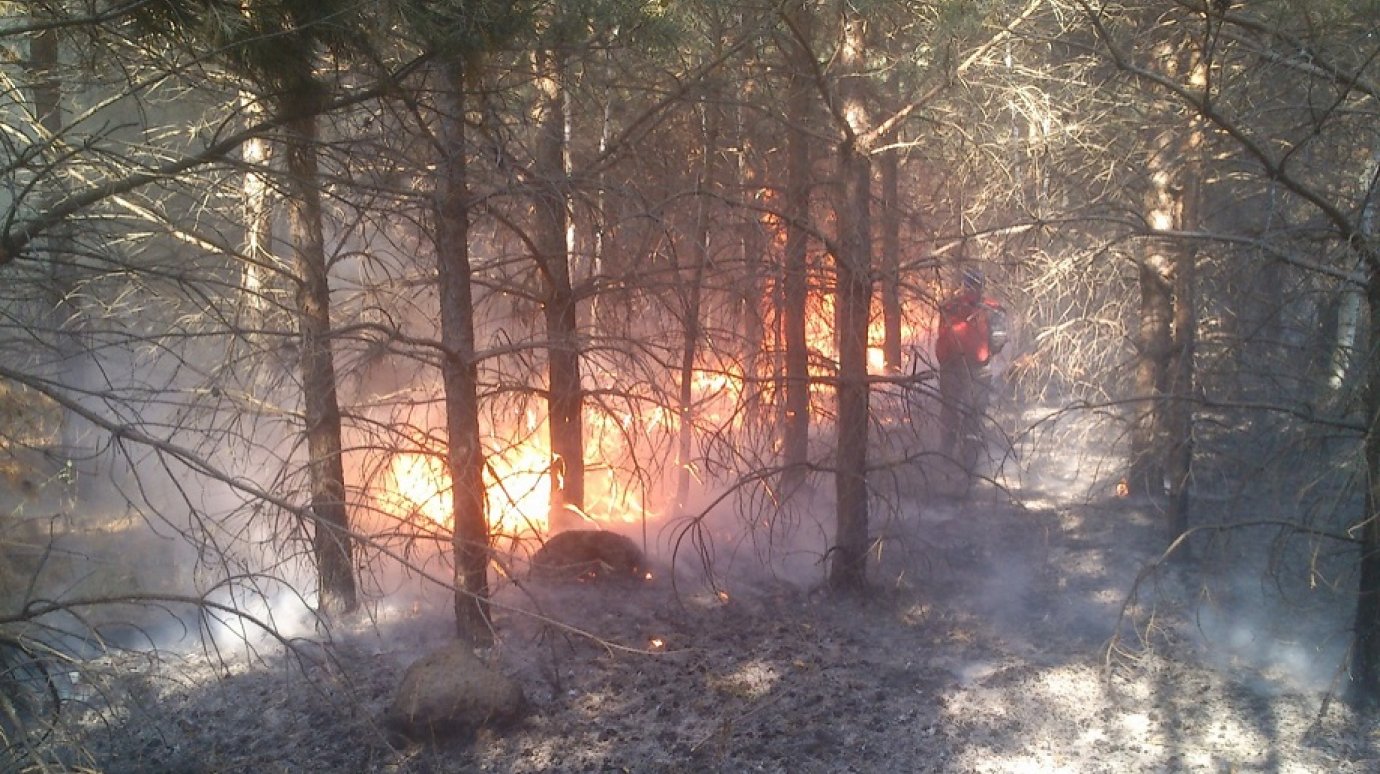 В Пензенской области потушили 11-й по счету лесной пожар