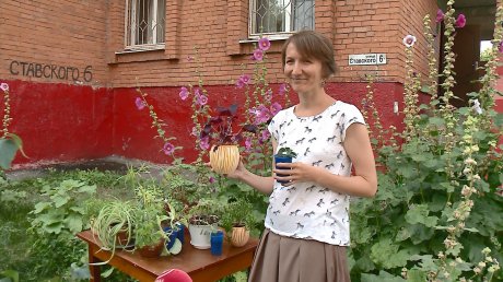 Пензенцы обменялись комнатными растениями на акции «Зеленый своп»