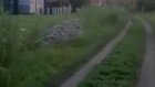 В селе Белинского района засыпанная мусором дорога заросла травой