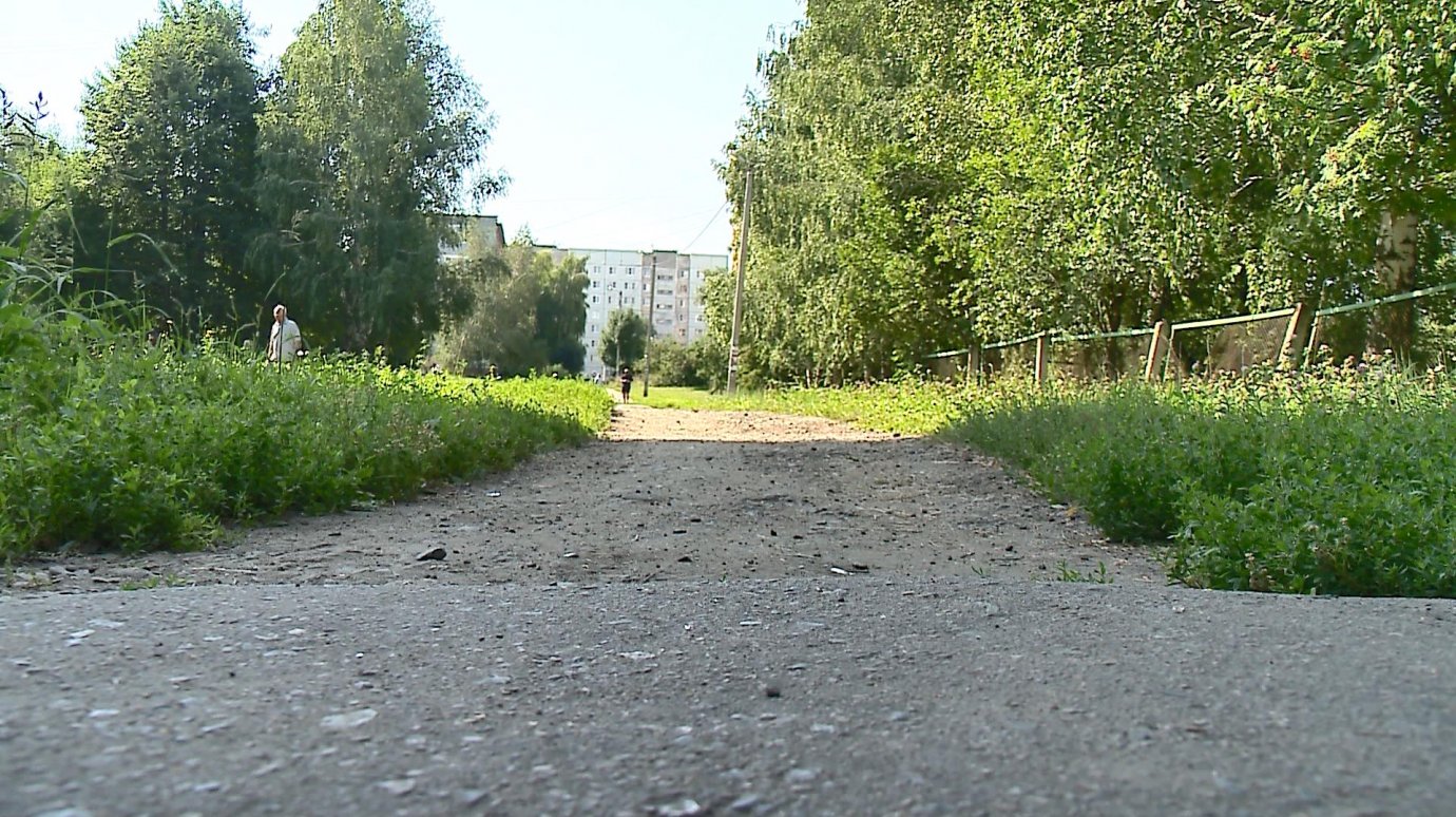 Тернистый путь к знаниям: на улице Лядова разрушился тротуар к школе