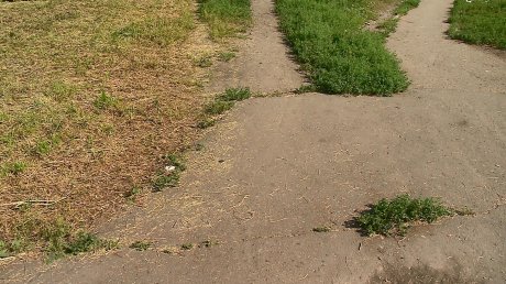 Тернистый путь к знаниям: на улице Лядова разрушился тротуар к школе