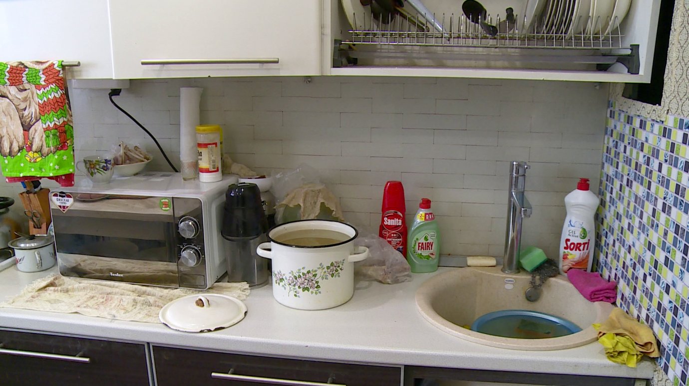 Способы избавиться от надоедливых мошек на кухне оказались крайне простыми