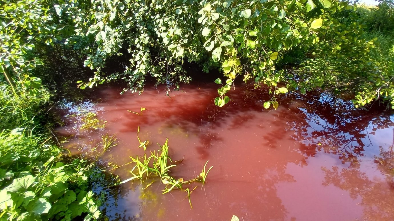 Река в Пензенской области окрасилась в багровый цвет