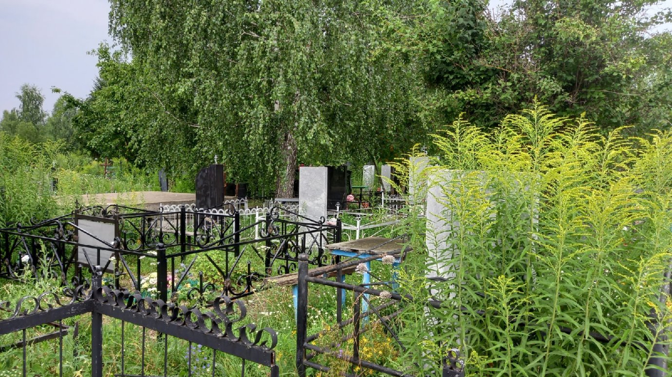 Житель Пензенской области признался в краже с кладбища