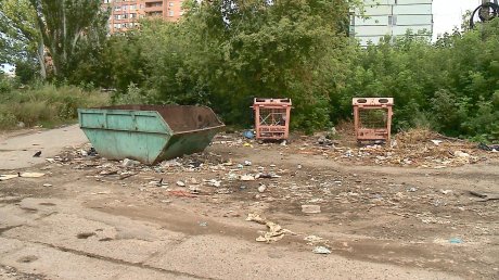 Обращение к президенту не решило проблему грязной мусорки в Пензе