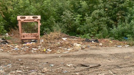 Обращение к президенту не решило проблему грязной мусорки в Пензе