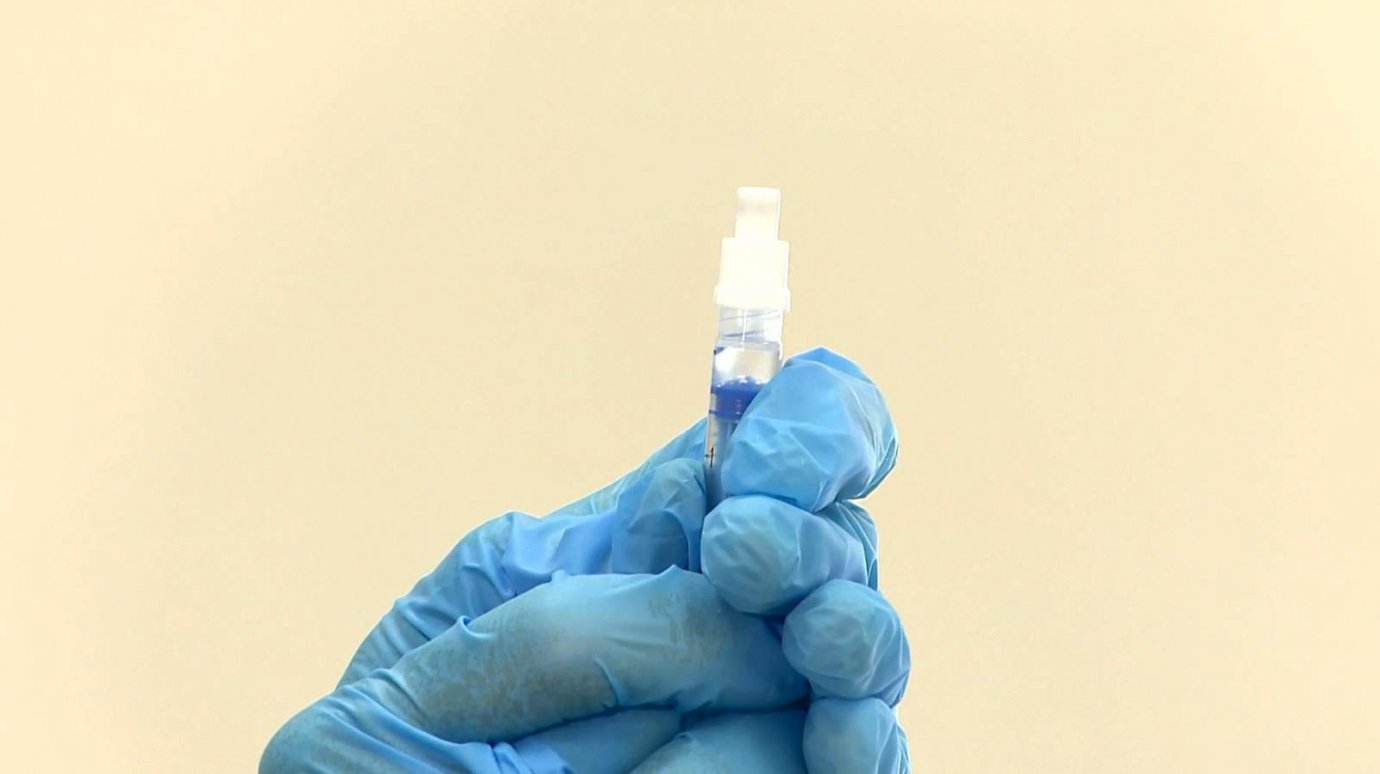 Просроченные вакцины. Назальная прививка от коронавируса. Просрочена прививка. Вакцина от коронавируса гам-ковид-ВАК. Фото интраназальной вакцины.