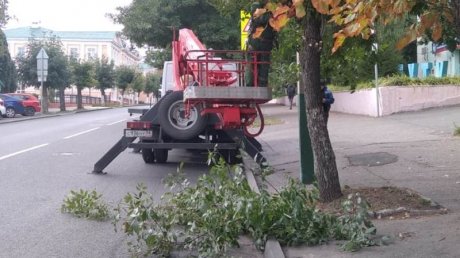 В Пензе опиливают деревья, скрывающие светофоры и знаки