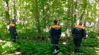 В Пензенском районе грибница заблудилась в лесу