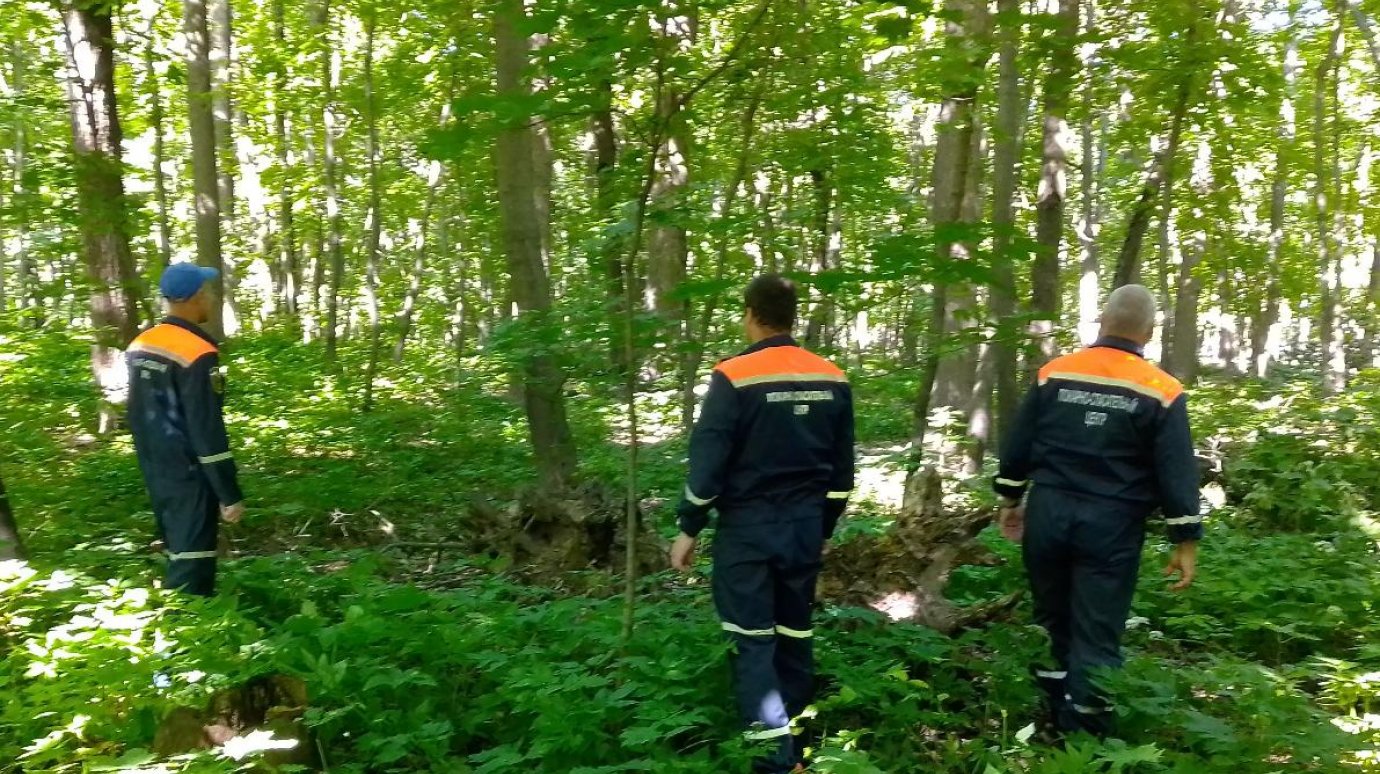 В Пензенском районе грибница заблудилась в лесу