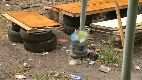 Жители домов на Краснова страдают из-за пьяных компаний во дворе
