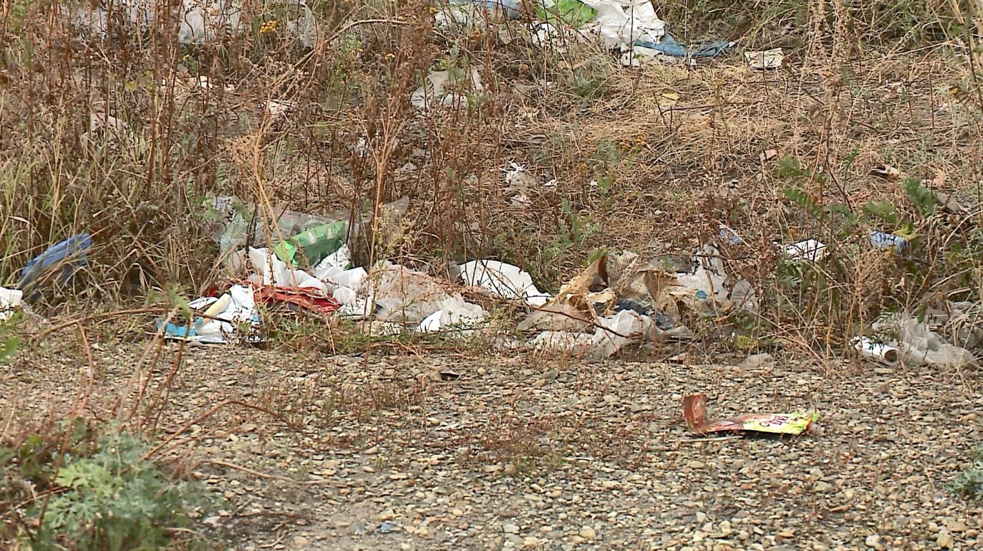 На улице Антонова с контейнерной площадки разлетается мусор