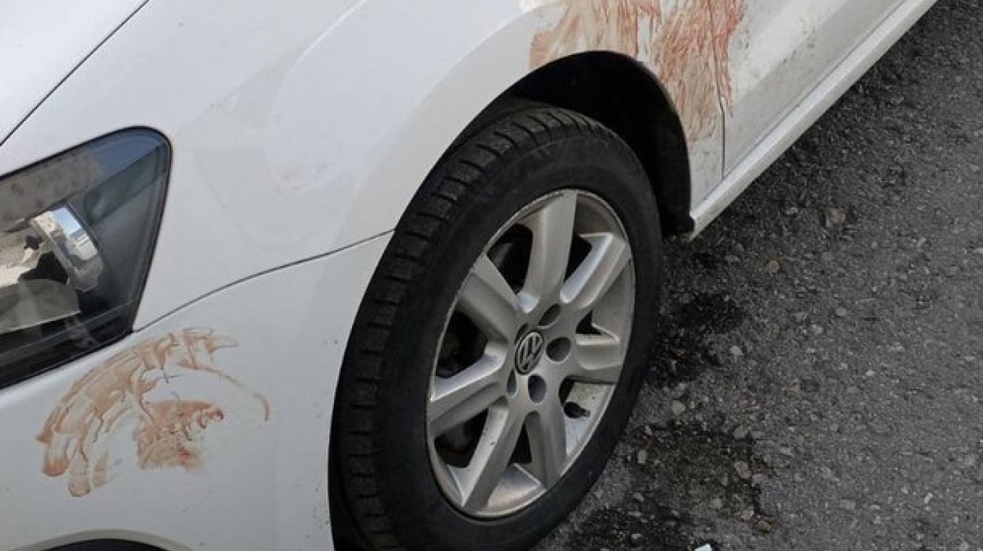 Машина в крови: пензенцев с ГПЗ взбудоражил ночной конфликт
