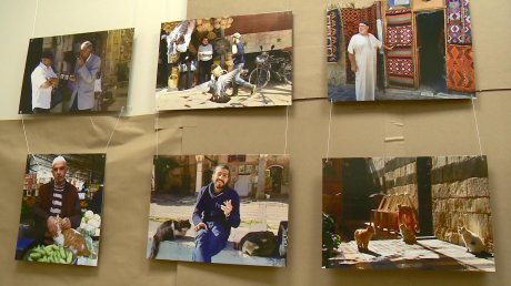 Пензенцы увидят Сирию глазами фотографа Натальи Каресли